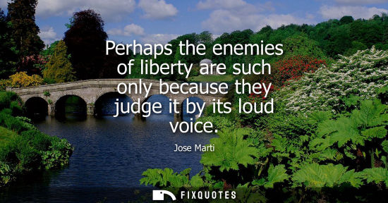 Small: Perhaps the enemies of liberty are such only because they judge it by its loud voice