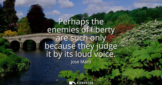 Small: Perhaps the enemies of liberty are such only because they judge it by its loud voice