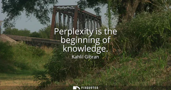 Small: Perplexity is the beginning of knowledge
