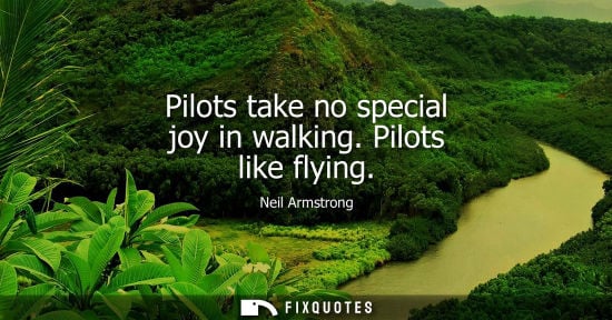 Small: Pilots take no special joy in walking. Pilots like flying - Neil Armstrong