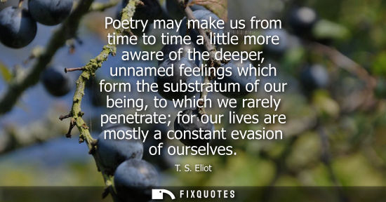 Small: Poetry may make us from time to time a little more aware of the deeper, unnamed feelings which form the
