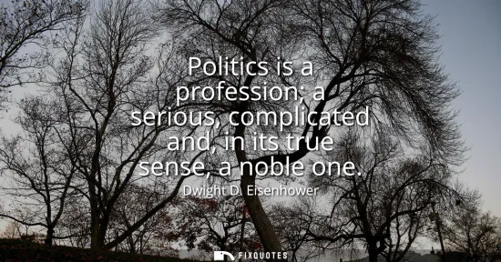 Small: Politics is a profession a serious, complicated and, in its true sense, a noble one