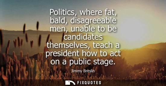 Small: Politics, where fat, bald, disagreeable men, unable to be candidates themselves, teach a president how 