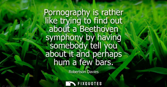 Small: Pornography is rather like trying to find out about a Beethoven symphony by having somebody tell you ab