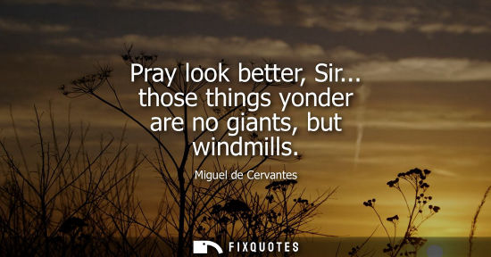 Small: Pray look better, Sir... those things yonder are no giants, but windmills