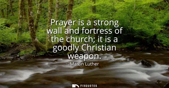 Small: Prayer is a strong wall and fortress of the church it is a goodly Christian weapon