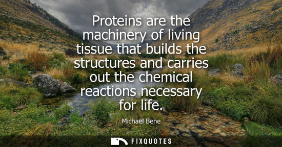 Small: Proteins are the machinery of living tissue that builds the structures and carries out the chemical rea