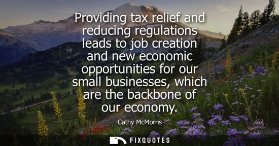 Small: Providing tax relief and reducing regulations leads to job creation and new economic opportunities for our sma