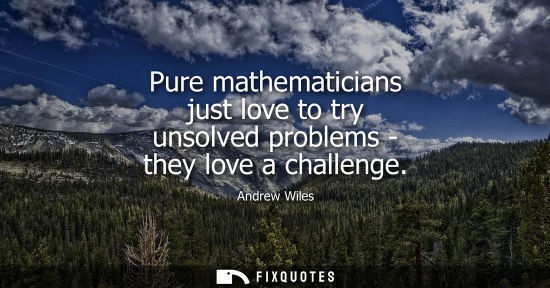 Small: Pure mathematicians just love to try unsolved problems - they love a challenge