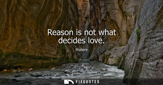 Small: Reason is not what decides love