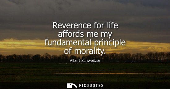 Small: Reverence for life affords me my fundamental principle of morality - Albert Schweitzer