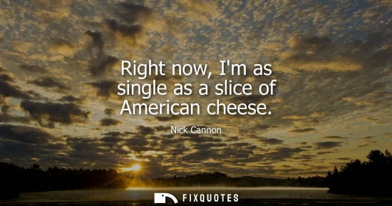 Small: Right now, Im as single as a slice of American cheese