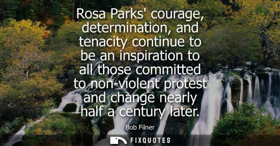 Small: Rosa Parks courage, determination, and tenacity continue to be an inspiration to all those committed to non-vi