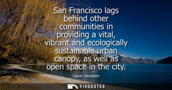 Small: San Francisco lags behind other communities in providing a vital, vibrant and ecologically sustainable urban c