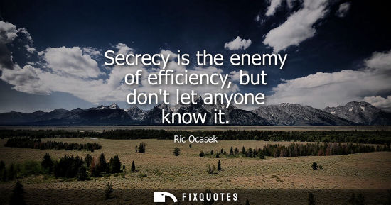 Small: Secrecy is the enemy of efficiency, but dont let anyone know it - Ric Ocasek