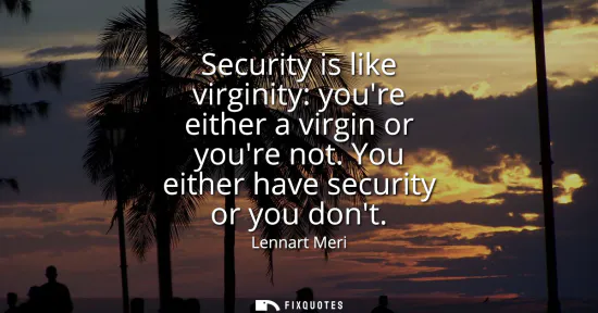Small: Security is like virginity: youre either a virgin or youre not. You either have security or you dont
