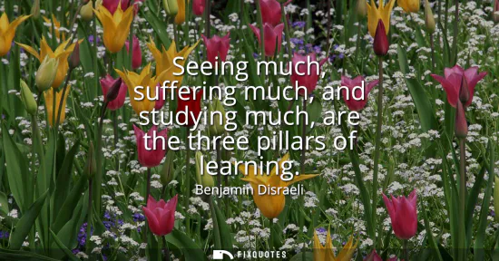 Small: Seeing much, suffering much, and studying much, are the three pillars of learning