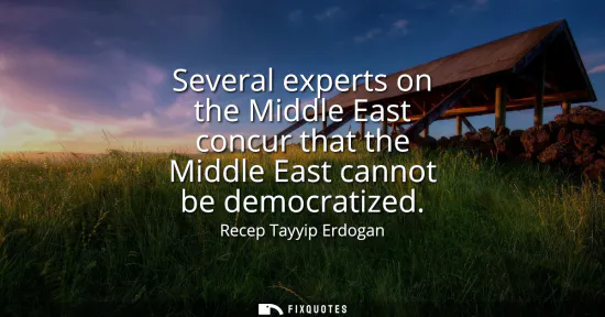 Small: Several experts on the Middle East concur that the Middle East cannot be democratized