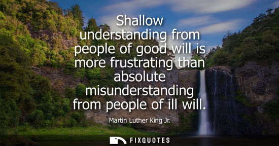 Small: Shallow understanding from people of good will is more frustrating than absolute misunderstanding from people 