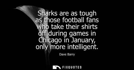 Small: Sharks are as tough as those football fans who take their shirts off during games in Chicago in January, only 