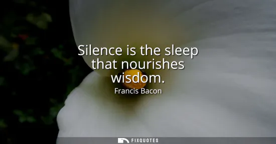 Small: Silence is the sleep that nourishes wisdom