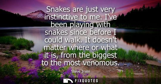 Small: Steve Irwin: Snakes are just very instinctive to me. Ive been playing with snakes since before I could walk.