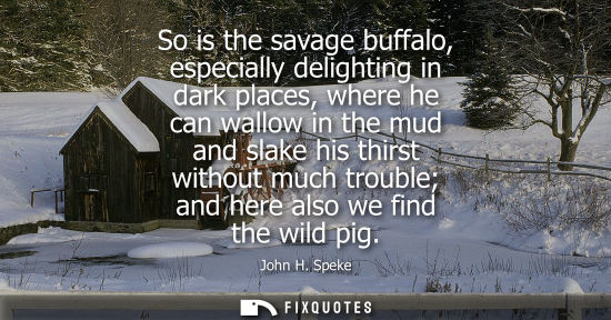 Small: So is the savage buffalo, especially delighting in dark places, where he can wallow in the mud and slak