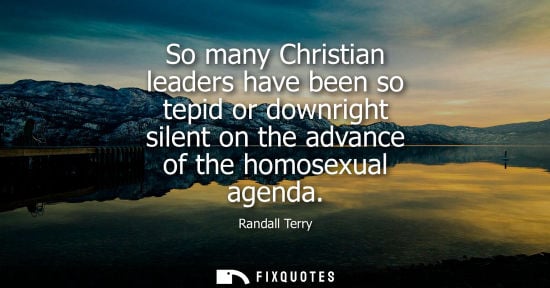 Small: So many Christian leaders have been so tepid or downright silent on the advance of the homosexual agend