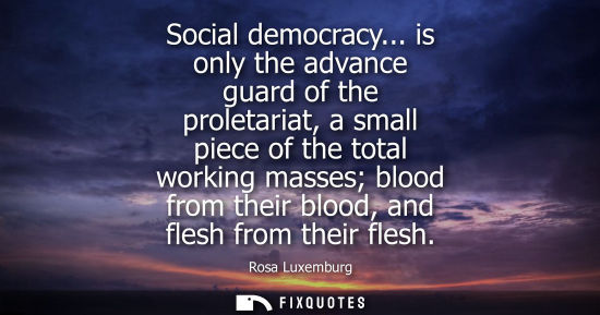 Small: Social democracy... is only the advance guard of the proletariat, a small piece of the total working ma