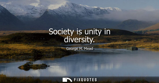 Small: Society is unity in diversity