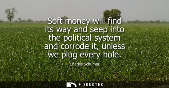 Small: Soft money will find its way and seep into the political system and corrode it, unless we plug every ho
