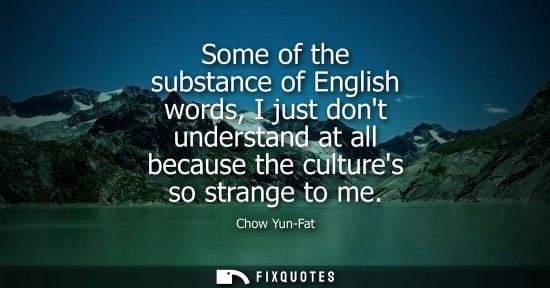 Small: Some of the substance of English words, I just dont understand at all because the cultures so strange t
