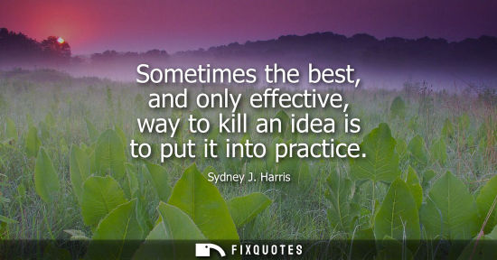 Small: Sometimes the best, and only effective, way to kill an idea is to put it into practice