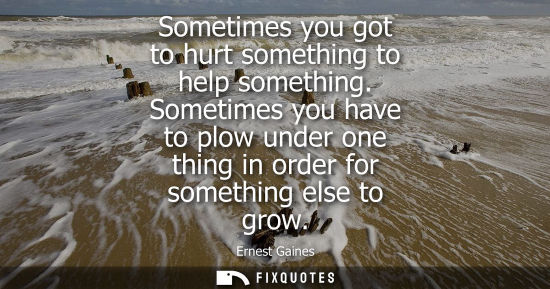 Small: Sometimes you got to hurt something to help something. Sometimes you have to plow under one thing in or