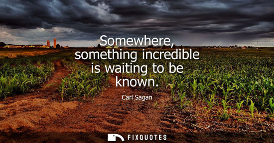 Small: Somewhere, something incredible is waiting to be known