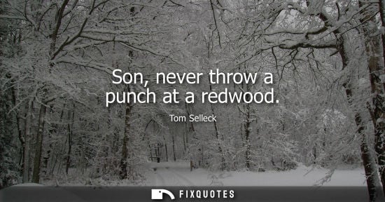 Small: Son, never throw a punch at a redwood