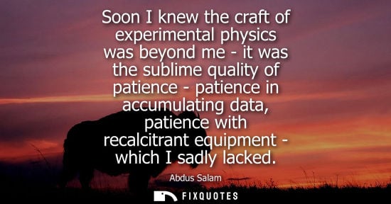 Small: Soon I knew the craft of experimental physics was beyond me - it was the sublime quality of patience - 