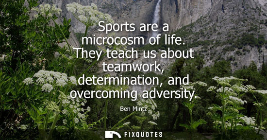 Small: Sports are a microcosm of life. They teach us about teamwork, determination, and overcoming adversity - Ben Mi