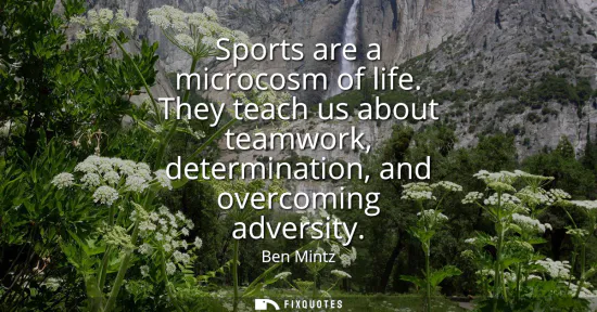 Small: Sports are a microcosm of life. They teach us about teamwork, determination, and overcoming adversity