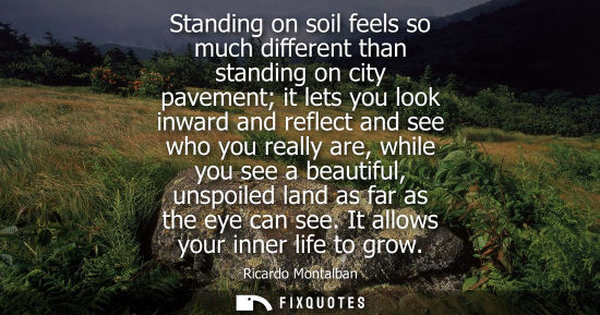 Small: Standing on soil feels so much different than standing on city pavement it lets you look inward and ref