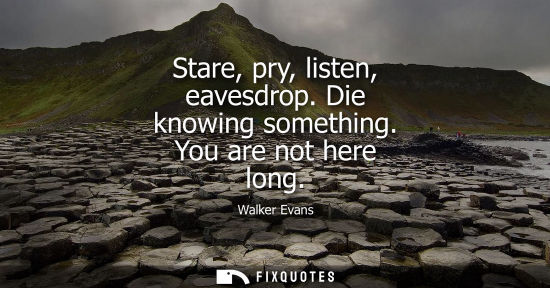 Small: Stare, pry, listen, eavesdrop. Die knowing something. You are not here long