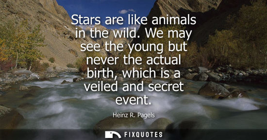 Small: Stars are like animals in the wild. We may see the young but never the actual birth, which is a veiled 