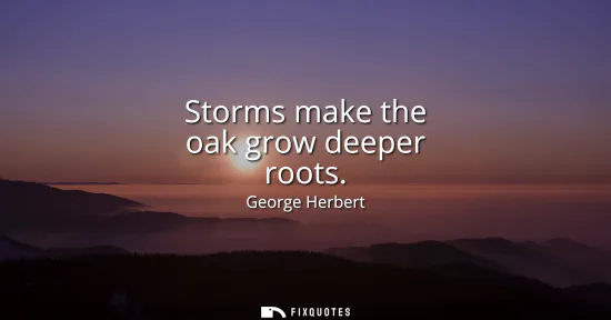 Small: Storms make the oak grow deeper roots
