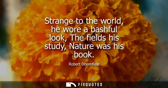 Small: Strange to the world, he wore a bashful look, The fields his study, Nature was his book