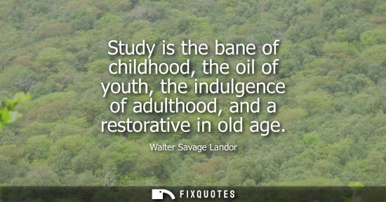 Small: Study is the bane of childhood, the oil of youth, the indulgence of adulthood, and a restorative in old age - 