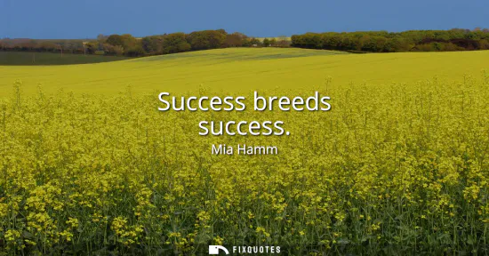 Small: Success breeds success