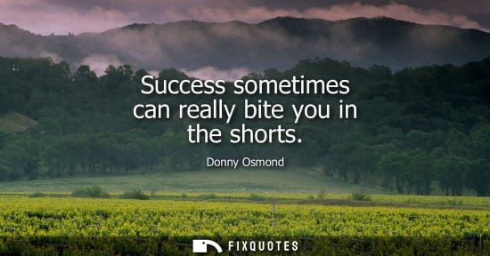 Small: Donny Osmond: Success sometimes can really bite you in the shorts
