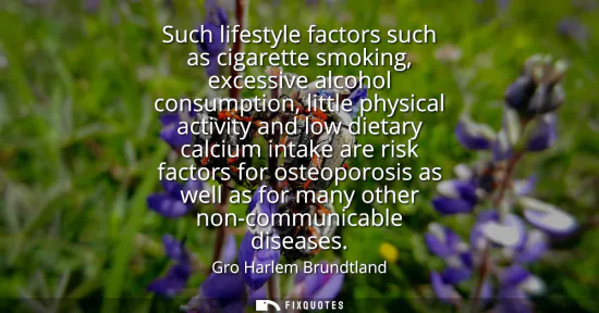 Small: Such lifestyle factors such as cigarette smoking, excessive alcohol consumption, little physical activity and 