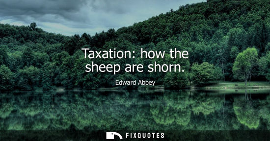 Small: Taxation: how the sheep are shorn