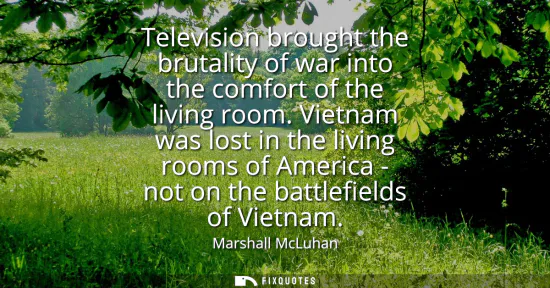 Small: Television brought the brutality of war into the comfort of the living room. Vietnam was lost in the living ro